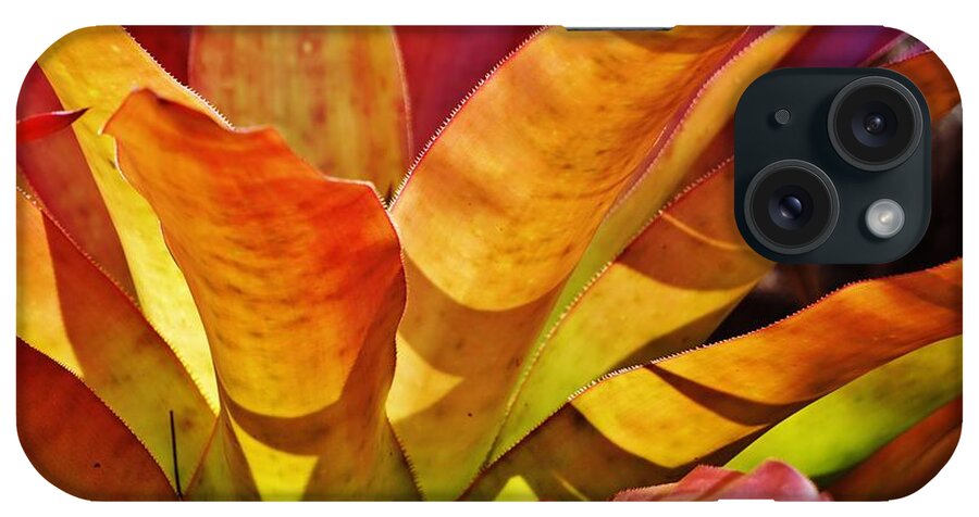Leaves iPhone Case featuring the photograph Sunlight and Colour by John Clark