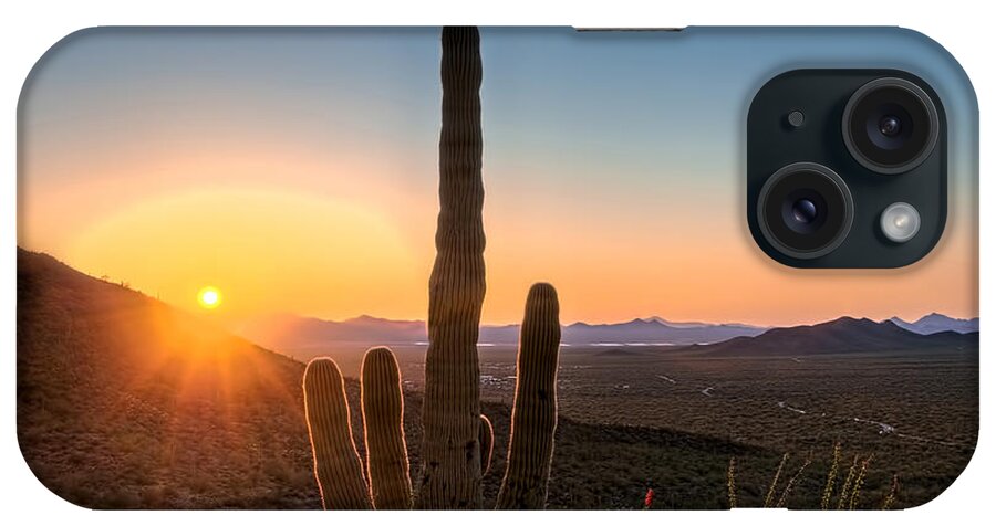 Arid iPhone Case featuring the photograph Sunlit Cactus by Maria Coulson
