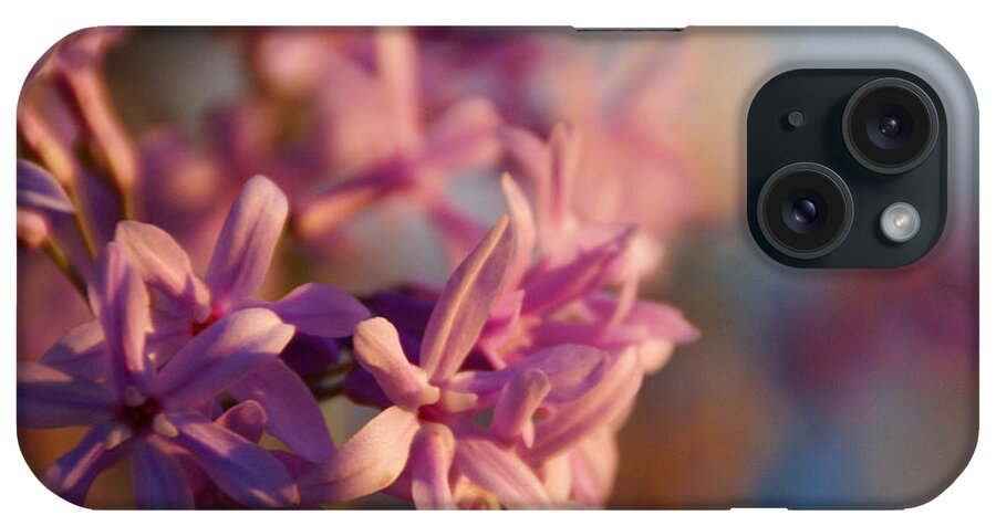 Pink iPhone Case featuring the photograph Sunlit Dream by Linda Shafer