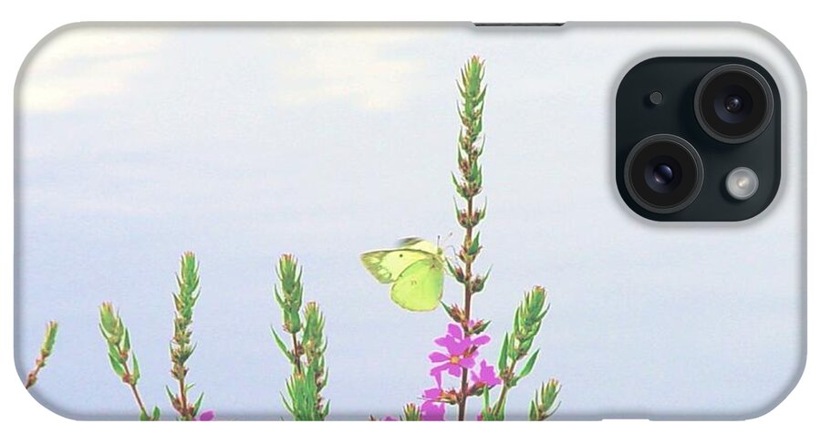 Butterfly iPhone Case featuring the digital art Sunny Day by Cliff Wilson