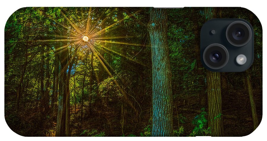 Lake Needwood iPhone Case featuring the photograph Sunny forest by Izet Kapetanovic