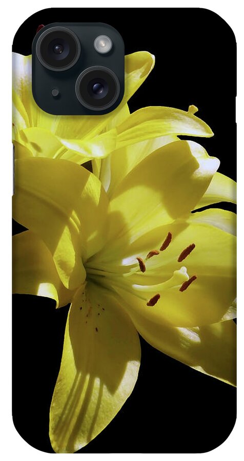 Lily iPhone Case featuring the photograph Sunny Yellow Lilies by Johanna Hurmerinta