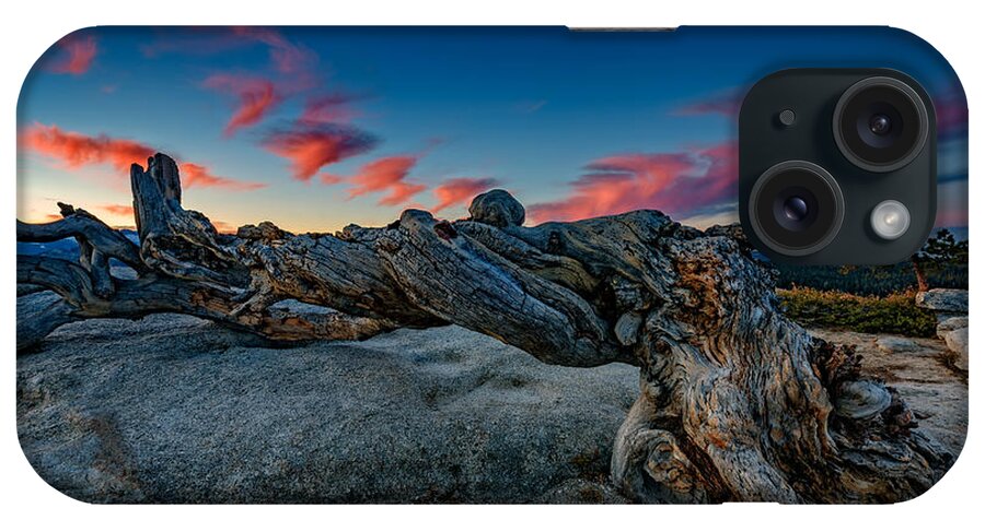 Jeffrey Pine iPhone Case featuring the photograph Sunrise on the Jeffrey Pine by Rick Berk