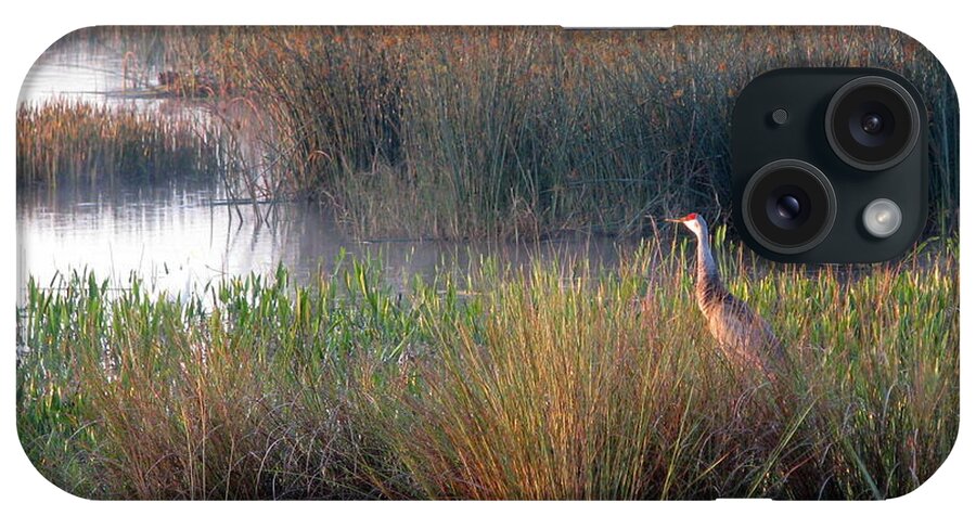 Sand Hill Crane iPhone Case featuring the photograph Sunrise on the Wetlands by T Guy Spencer