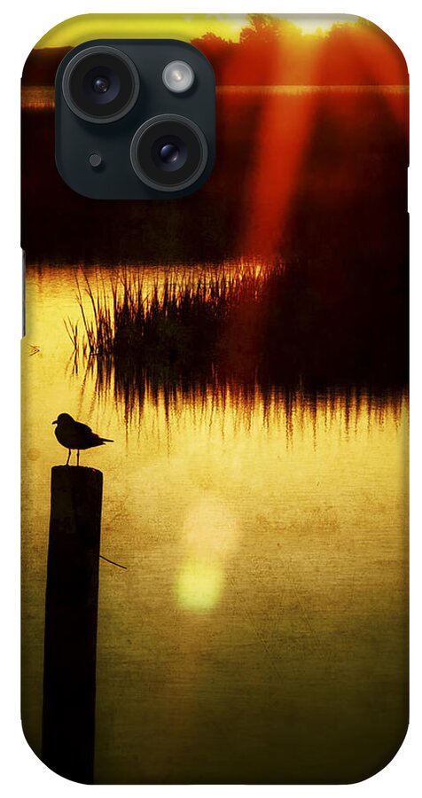 Bird iPhone Case featuring the photograph SUNRISE SUNSET PHOTO ART - A RAY OF HOPE by JO ANN TOMASELLI by Jo Ann Tomaselli