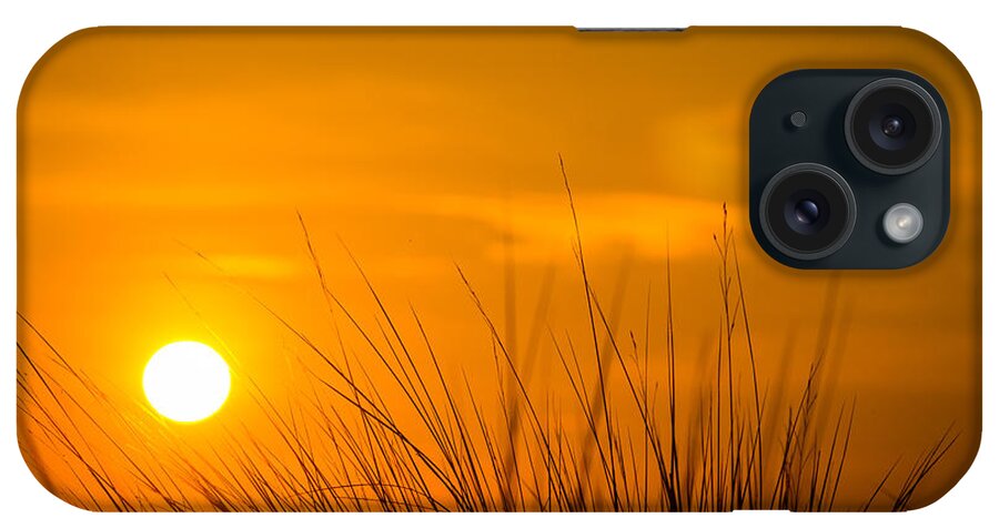 Coast iPhone Case featuring the photograph Sunrise Through Frederica Marsh Reeds by Chris Bordeleau