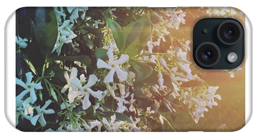 Flowers iPhone Case featuring the photograph Sunset Among The Blossoms #flowers by Joan McCool
