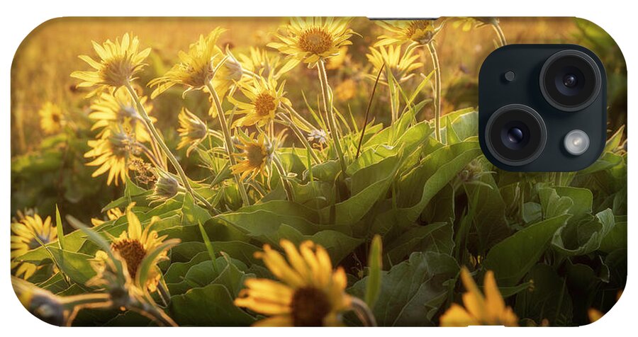 Sony iPhone Case featuring the photograph Sunset Balsam by Jon Ares