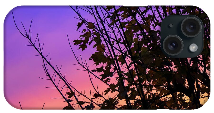 Trees iPhone Case featuring the photograph Sunset behind trees by Colin Rayner