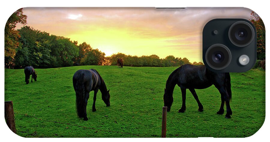Belgium iPhone Case featuring the photograph Sunset horses by Ingrid Dendievel