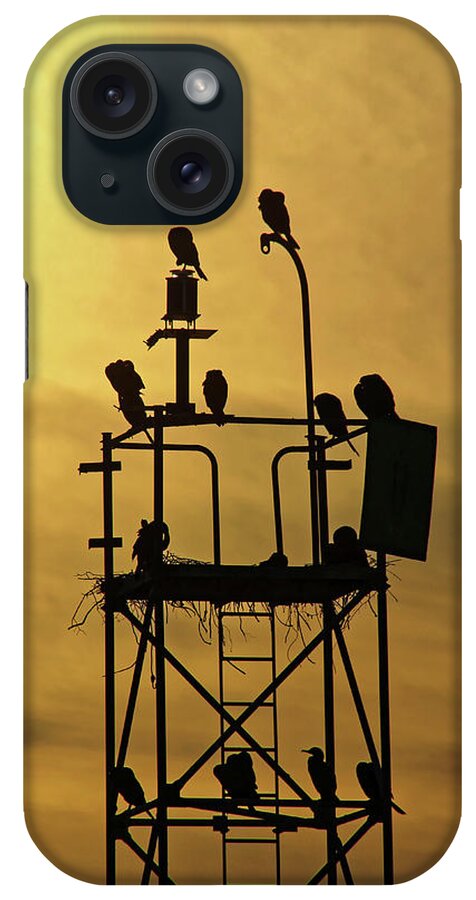 Sunset. Birds iPhone Case featuring the photograph Sunset Nesting Birds by Doolittle Photography and Art