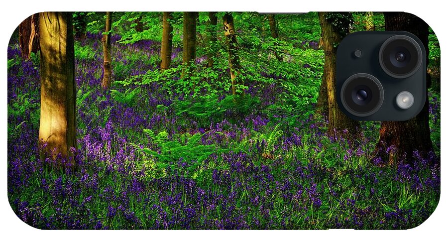 Bluebells iPhone Case featuring the photograph Sunset on Bluebells in Spring by Martyn Arnold