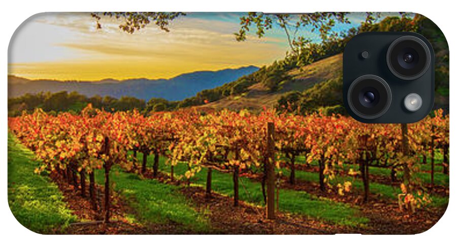 Napa iPhone Case featuring the photograph Sunset over Gamble Vineyards by Jon Neidert