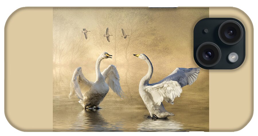 Swans iPhone Case featuring the photograph Sunset squabble by Brian Tarr