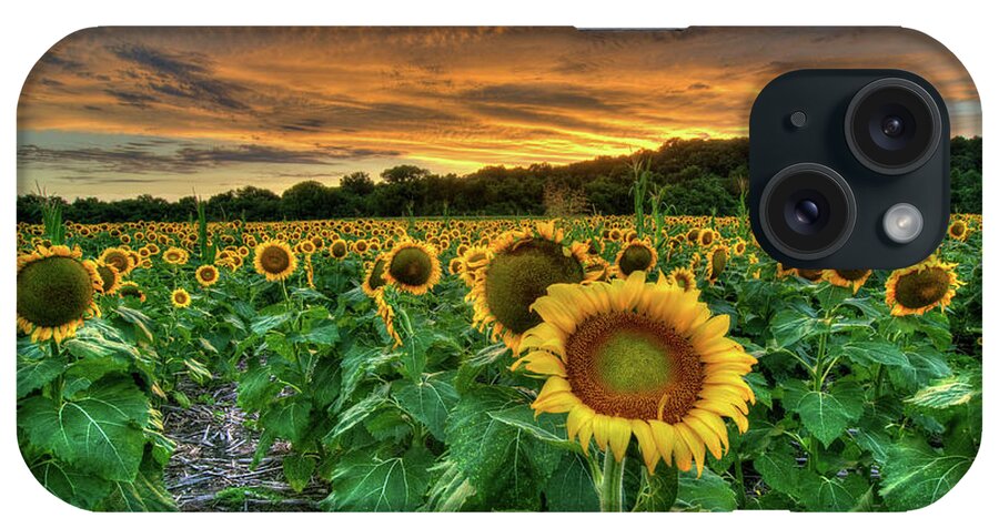 Sunset iPhone Case featuring the photograph Sunset Sunflowers by Steve Stuller