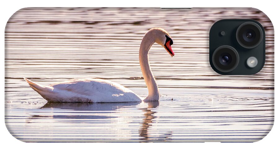 Swan iPhone Case featuring the photograph Sunset Swan by Steph Gabler