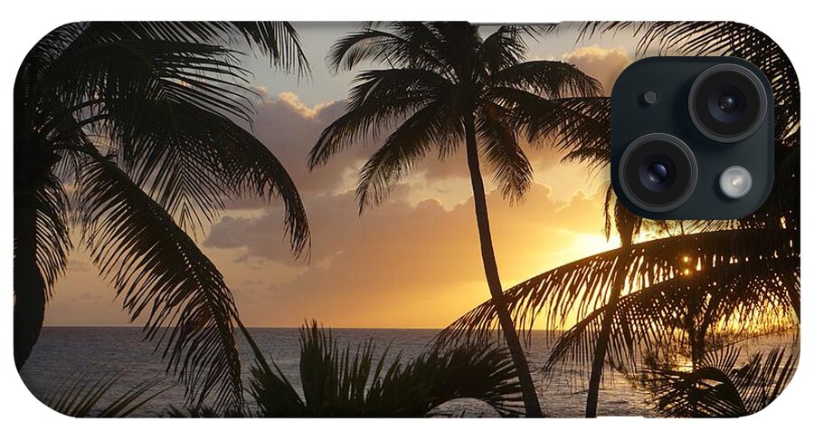 Sunset iPhone Case featuring the photograph Sunset with Palms  by John Clark
