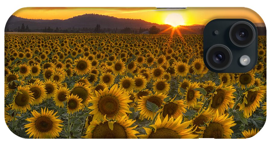 Sunflower iPhone Case featuring the photograph Sunshine and Happiness by Mark Kiver