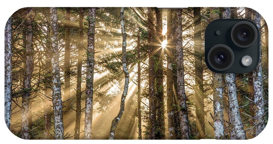 Forest iPhone Case featuring the photograph Sunshine Forest by Pierre Leclerc Photography