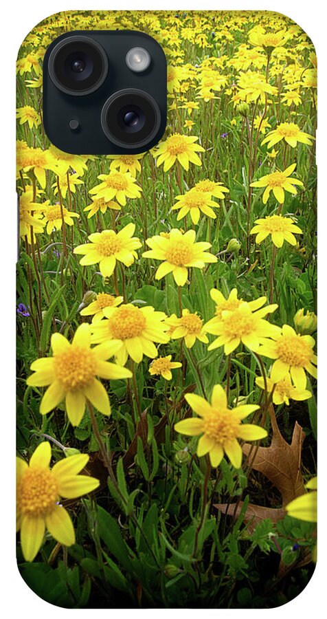 Wildflowers iPhone Case featuring the photograph Sunshine Makes Me Happy by Mick Anderson