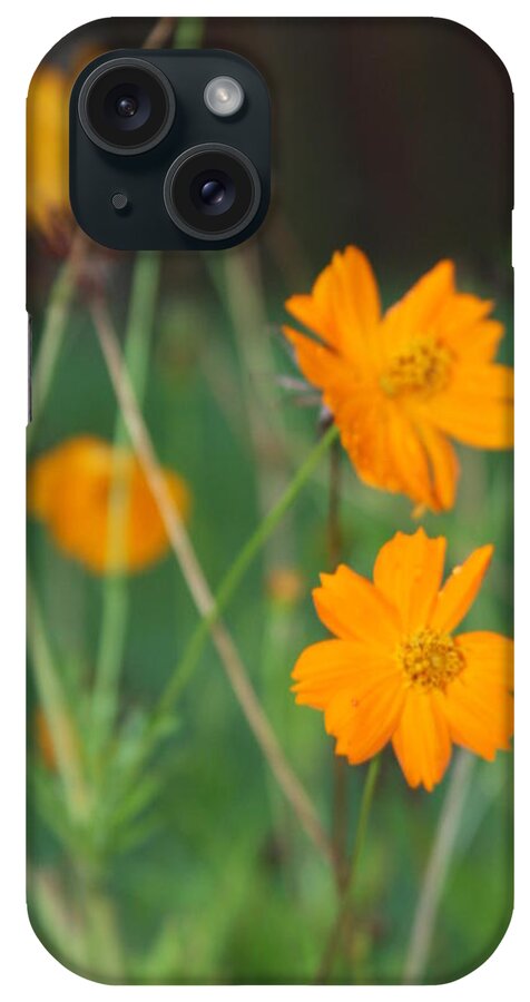 Flowers iPhone Case featuring the photograph Sunshine to the Mind by Vadim Levin