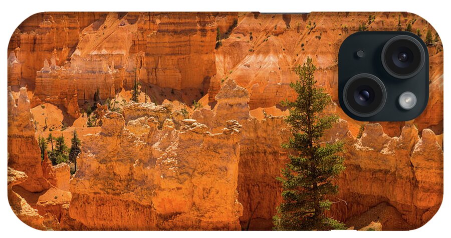 Utah iPhone Case featuring the photograph Survivor Pine Bryce Canyon National Park Utah by Lawrence S Richardson Jr