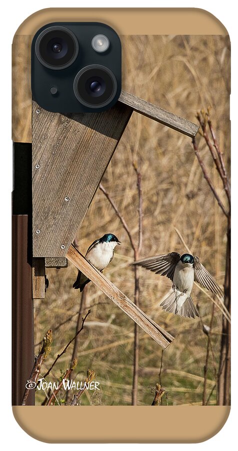 Mn Landscape Arboretum iPhone Case featuring the photograph Swallow Landing by Joan Wallner