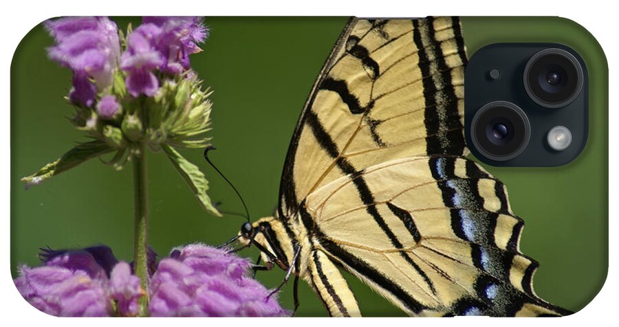 Botanical Gardens iPhone Case featuring the photograph Swallowtail Butterfly by Heather Coen