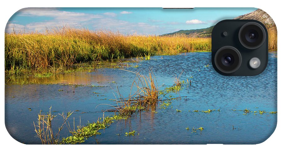 Bulgaria iPhone Case featuring the photograph Swamp by Jivko Nakev