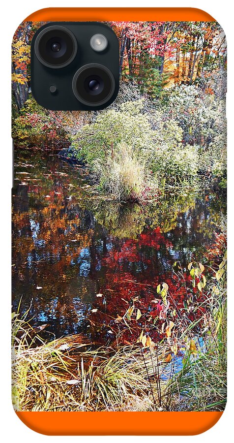 Peak Foliage In Maine During Autumn iPhone Case featuring the photograph Swamp whimsey by Priscilla Batzell Expressionist Art Studio Gallery