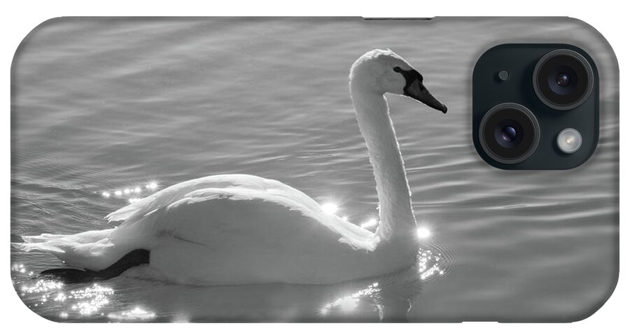 Specular Light Swan Water Lake Bird White Graceful iPhone Case featuring the photograph Swan bathed in light by Carolyn D'Alessandro