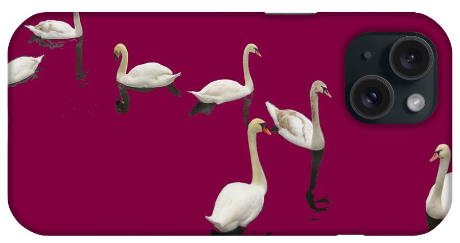 Background Burgandy iPhone Case featuring the photograph Swan Family On Burgandy by Constantine Gregory