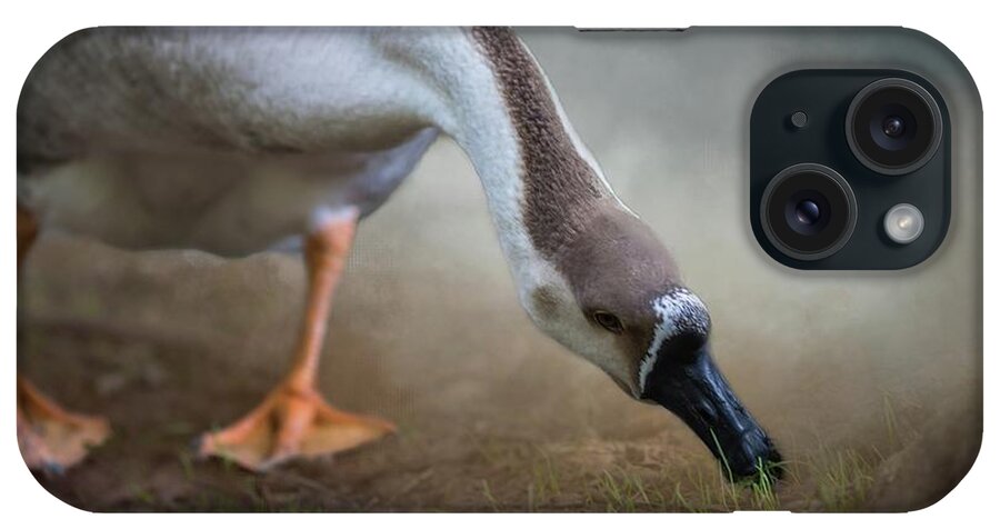Swan Goose iPhone Case featuring the photograph Swan Goose by Eva Lechner