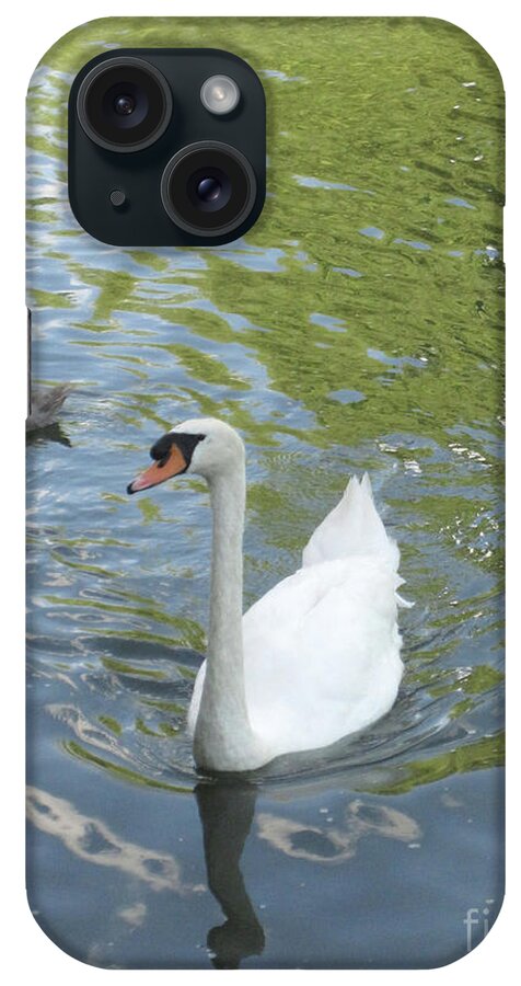 Swan iPhone Case featuring the photograph Swan's Grace by Brandy Woods