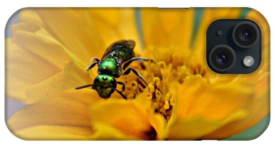 Bee iPhone Case featuring the photograph Sweat Bee by Dani McEvoy
