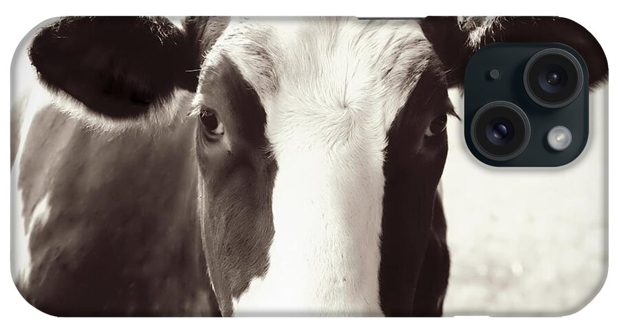Cow iPhone Case featuring the photograph Sweet Cow Face by Carol Groenen