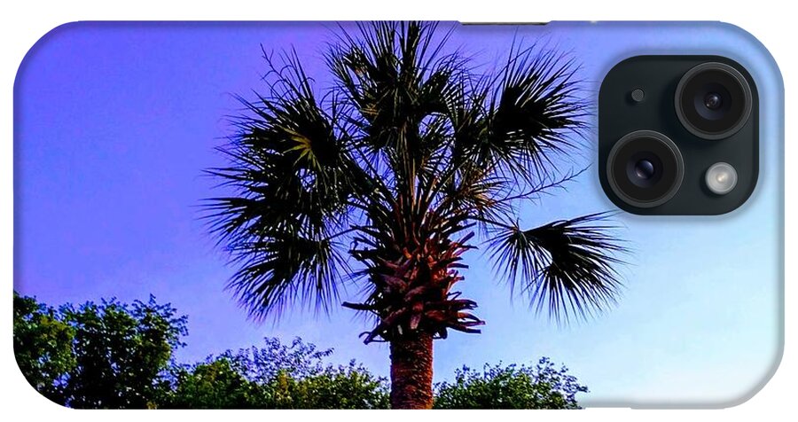 Palm iPhone Case featuring the photograph Sweet Dreams Carolinas by Sherry Kuhlkin