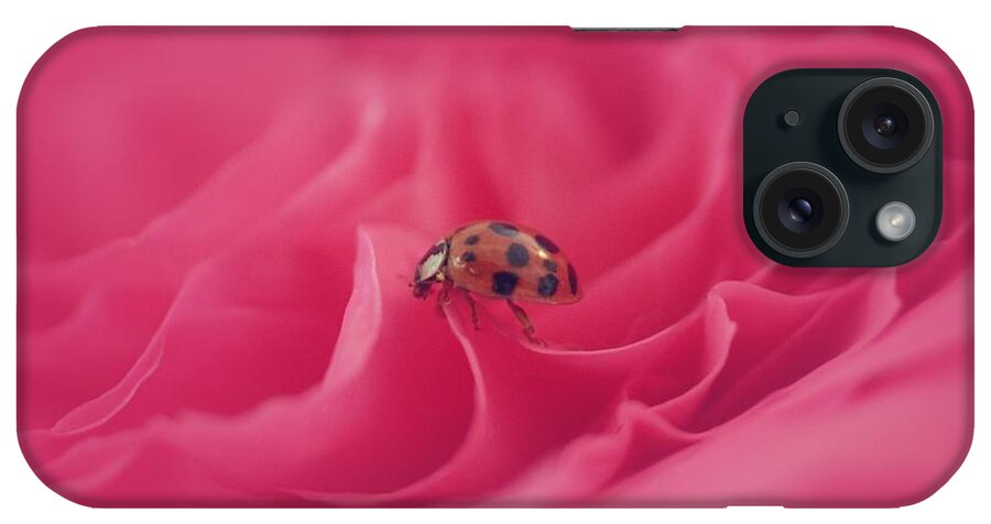  iPhone Case featuring the photograph Sweet Lady on Pink Rose by The Art Of Marilyn Ridoutt-Greene