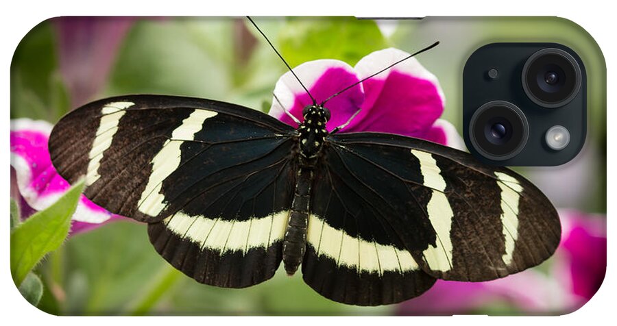 Butterfly iPhone Case featuring the photograph Sweet Little Butterfly by Ana V Ramirez