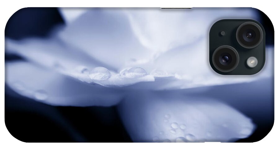 Art iPhone Case featuring the photograph Sweet by Marnie Patchett