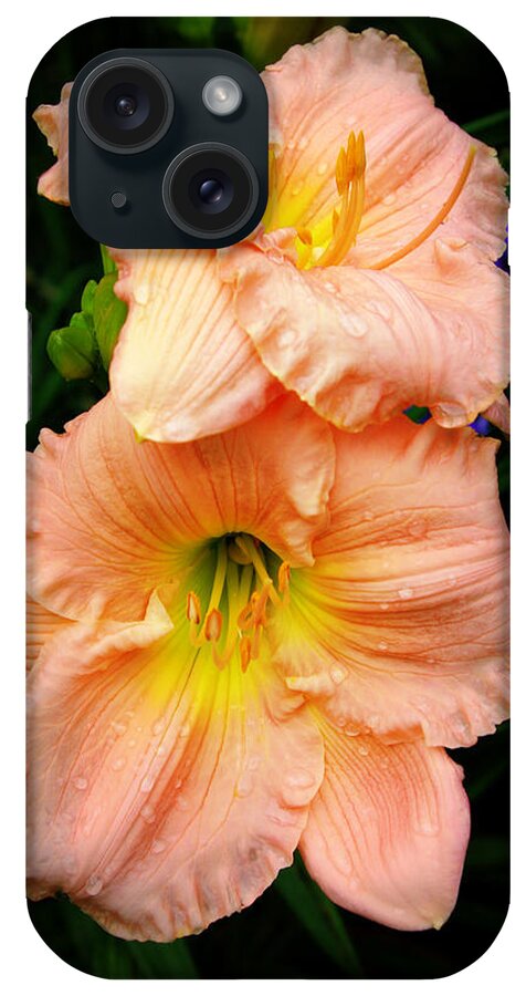 Tiger Lily iPhone Case featuring the photograph Sweet Peach by Linda Mishler