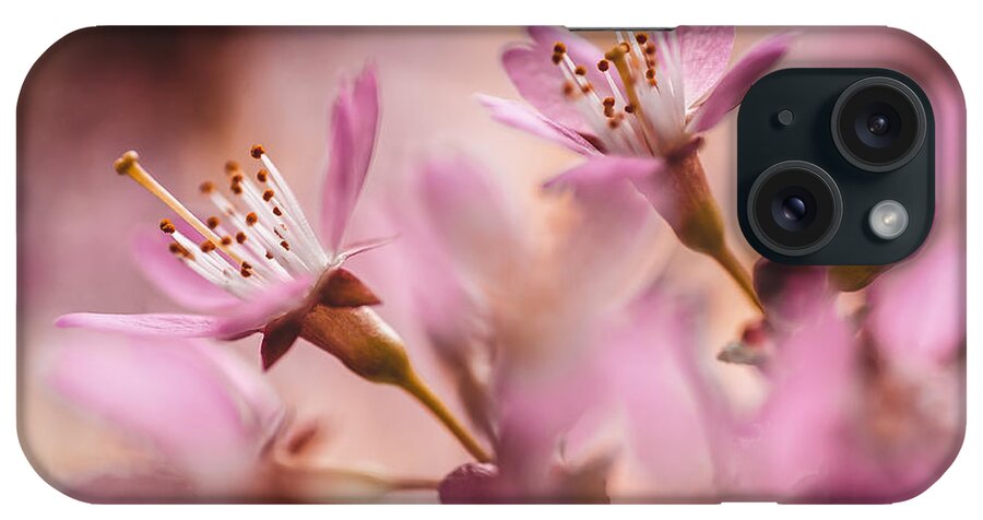 Jenny Rainbow Fine Art Photography iPhone Case featuring the photograph Sweet Taste of Spring by Jenny Rainbow