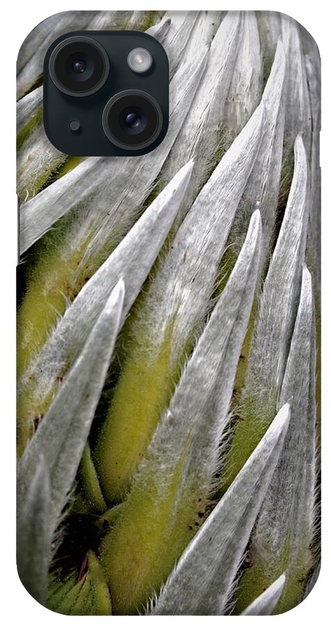 Hawaii iPhone Case featuring the photograph Swirl of the Silversword by Heidi Fickinger