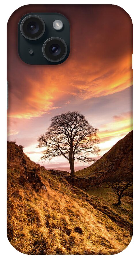 Sycamore Gap iPhone Case featuring the photograph Sycamore Gap by Anita Nicholson