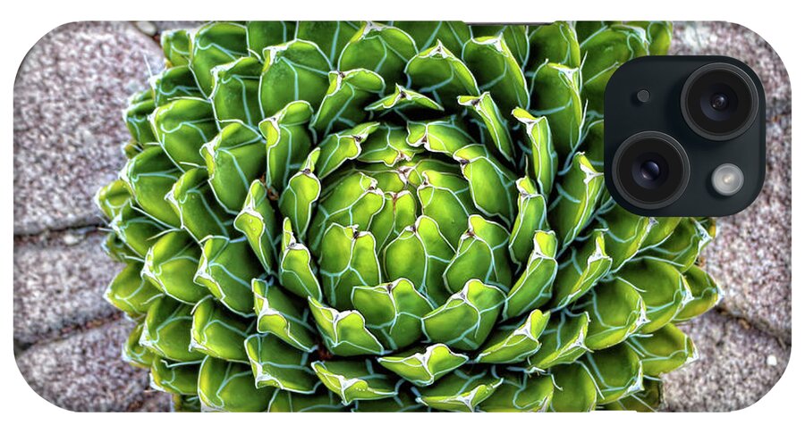 Plants iPhone Case featuring the photograph Symmetry by Elaine Malott