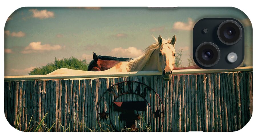 Horses iPhone Case featuring the photograph T for Texas by Karen Slagle
