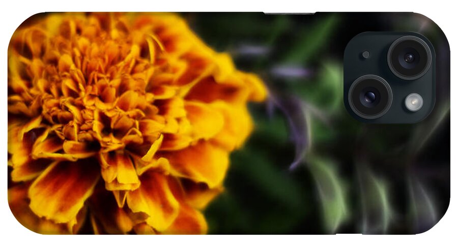 Tagetes iPhone Case featuring the photograph Tagetes by Gregg Ott