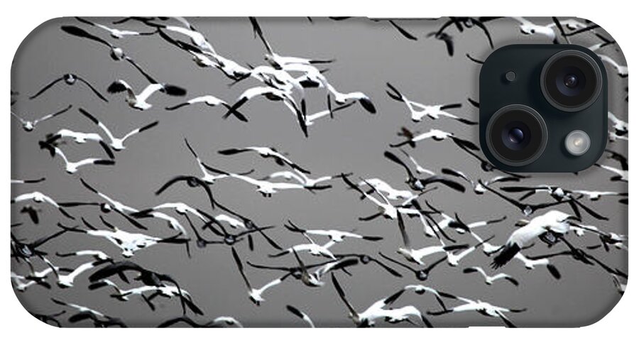  iPhone Case featuring the photograph Take Wing 2 by Darcy Dietrich