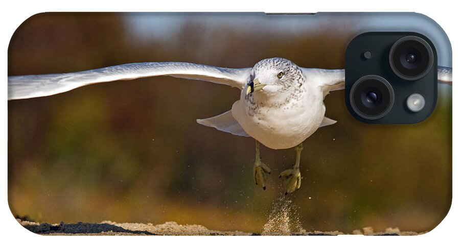 Seagull iPhone Case featuring the photograph Takeoff by David Freuthal