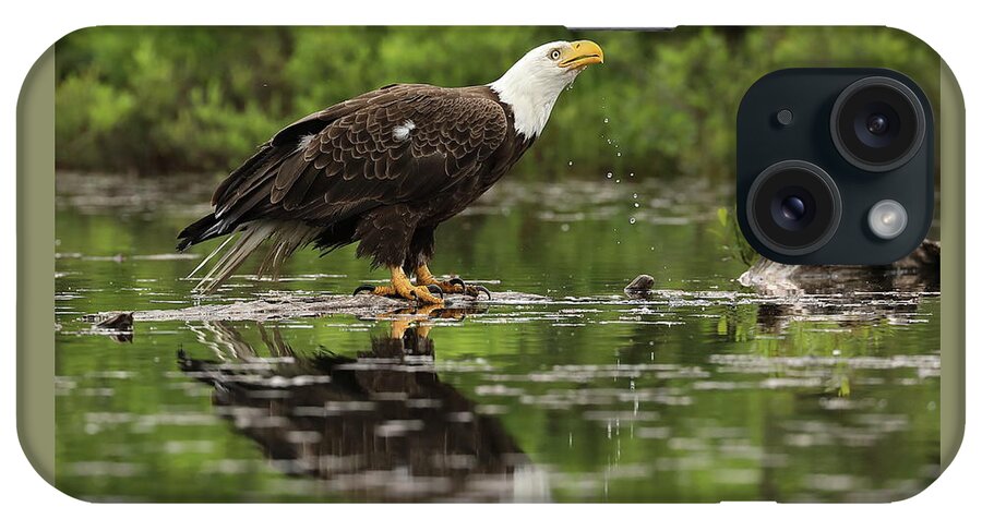 Eagle iPhone Case featuring the photograph Taking a Drink by Duane Cross
